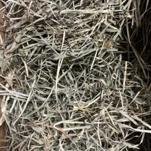 Orchard Grass Hay - 5 lbs